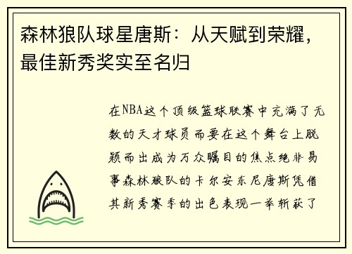 森林狼队球星唐斯：从天赋到荣耀，最佳新秀奖实至名归